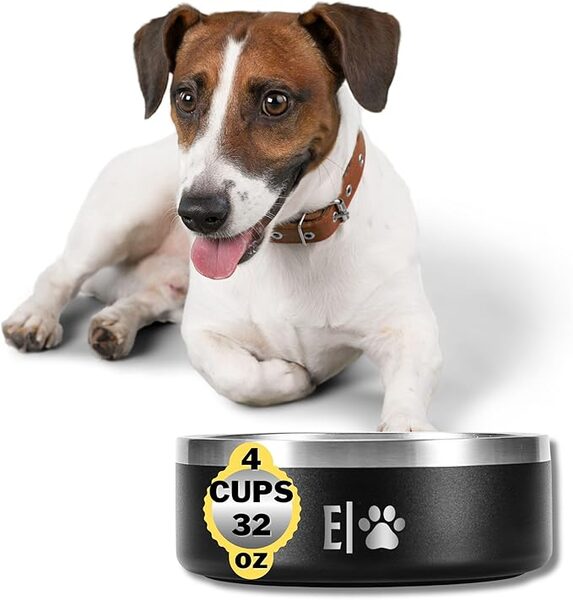EVELANDO 32oz Stainless Steel Pet Bowl